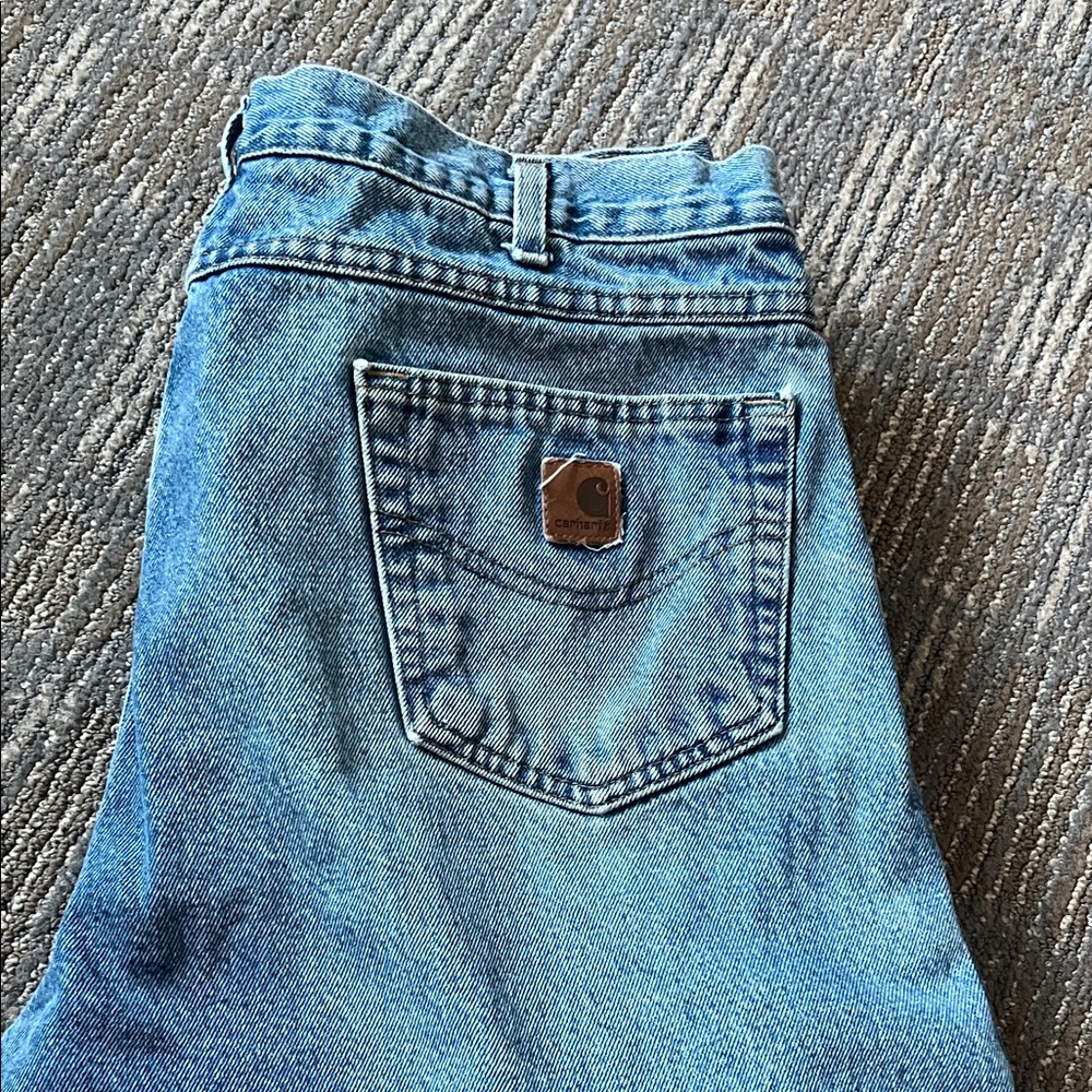 Carhartt Men's Relaxed Fit Insulated Jeans 38x34